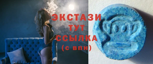 ECSTASY Горняк