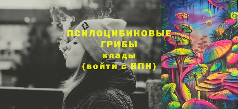 Галлюциногенные грибы Cubensis  блэк спрут сайт  Тверь  где продают наркотики 